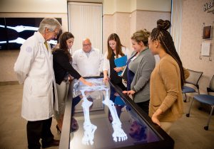 From left, College of Dental Medicine Associate Dean, Simulation, Immersion & Digital Learning Dr. Robert Hasel, Marina Soliman from Redlands, a UCR graduate who plans to apply to the College of Dental Medicine, Senior Instructional Designer Hooman T. Mir, DPM, Cortney Cunningham from Northridge, an undergraduate student at CSUN, who plans to apply to COMP, Amelia Barrett from Rancho Cucamonga, who graduated from the University of Phoenix, who plans to apply to the physician assistant program, and Projects Coordinator Briana Young work on the Anatomage table during the Learning Enrichment in Clinical Anatomy (LECA) program. LECA is a one-week intensive training course in clinical human anatomy that provides pre-health science student applicants the opportunity to further enhance their academic background in preparation for advanced medical, dental, or health professional graduate level anatomy. Jeff Malet, WesternU)