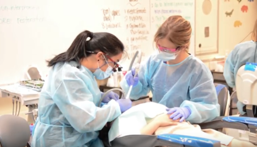 Video of Dental Care
