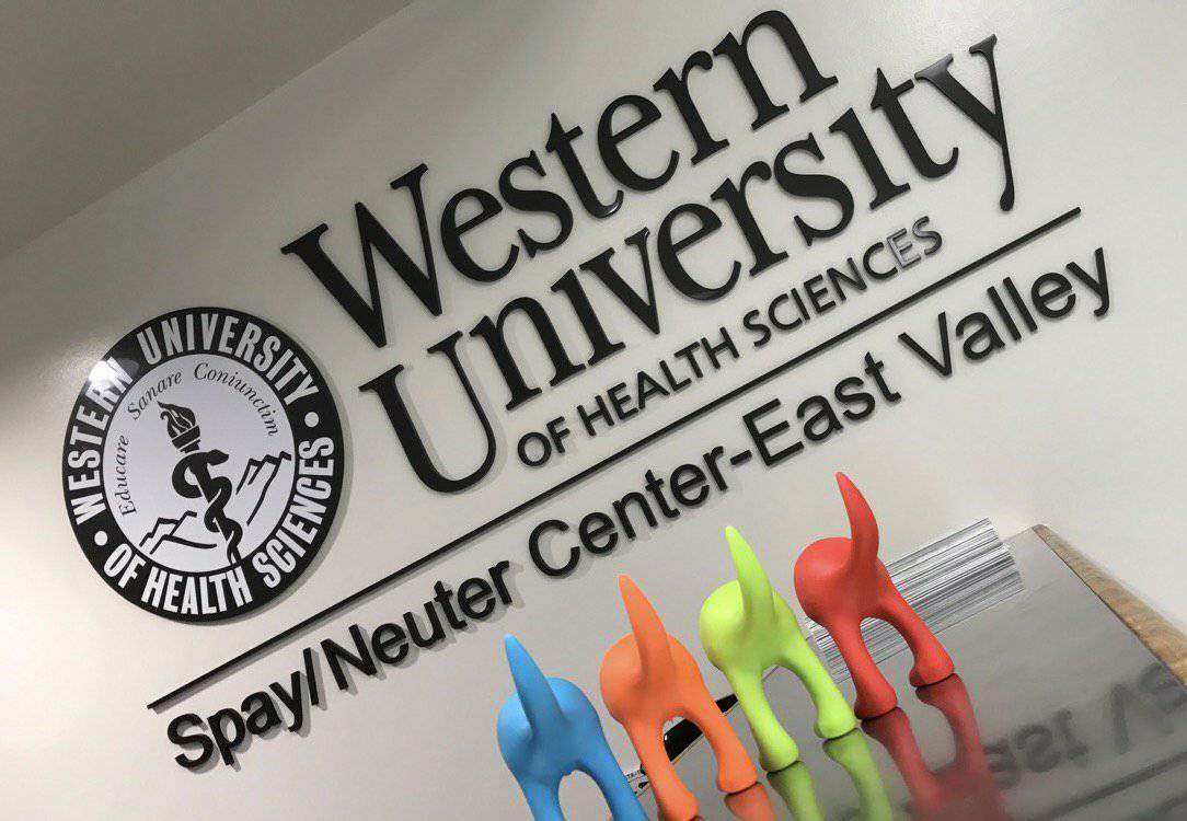 WesternU and LA Animal Services to Celebrate Opening of East Valley Spay/Neuter Center in Van Nuys