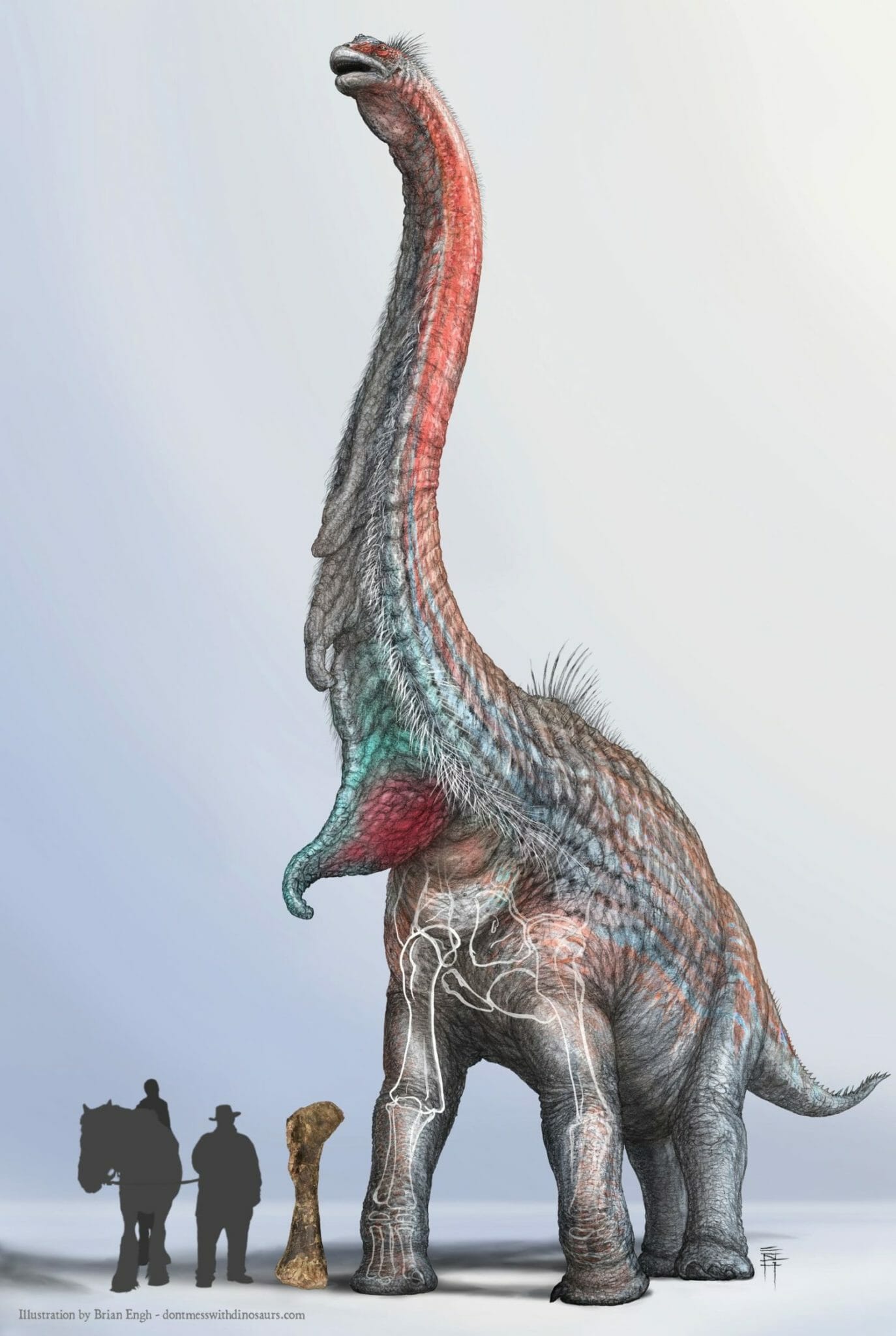 WesternU paleontologist helps recover rare Brachiosaurus in Utah
