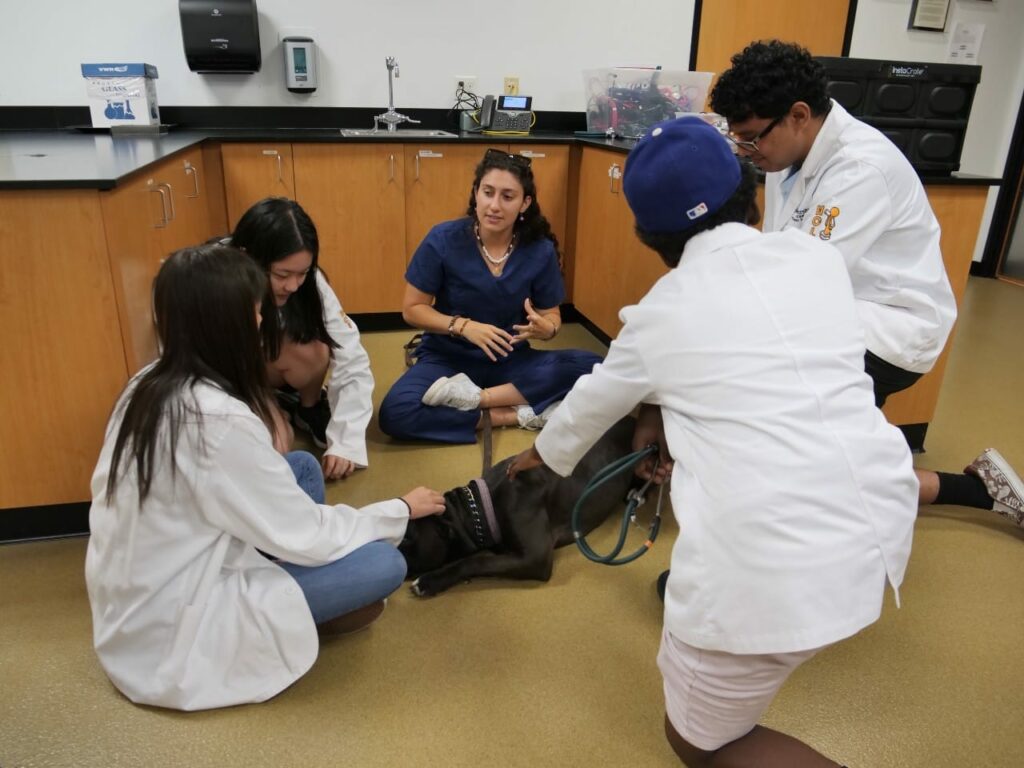 Five people, four in lab coats and one in scrubs, are gathered around a dog lying on the floor in a veterinary clinic. They appear to be engaged in a demonstration or examination.