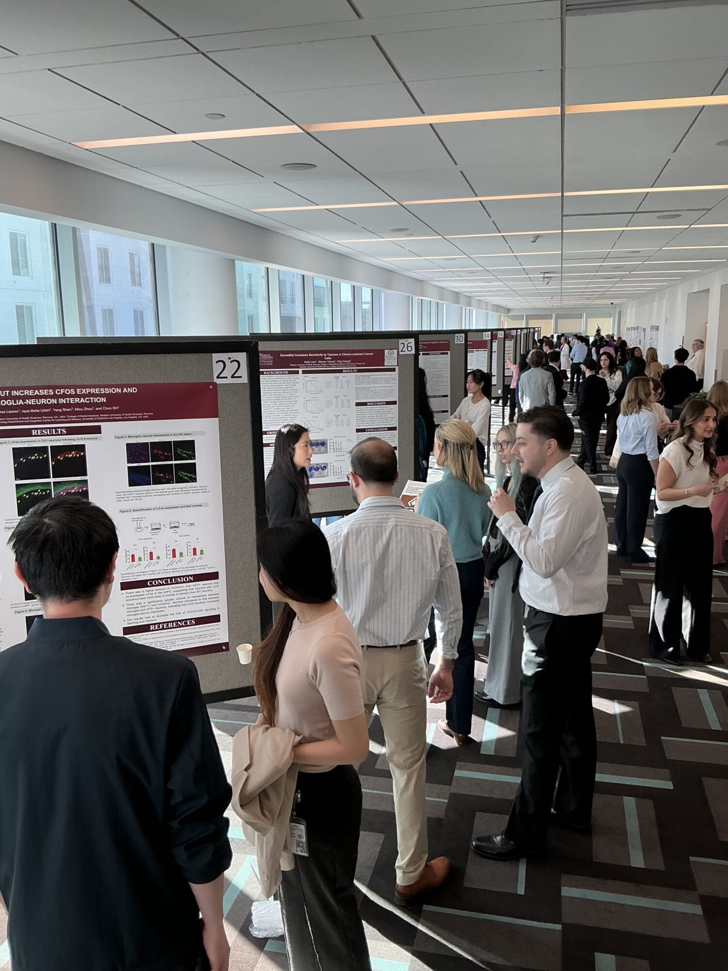 People walk and converse in a bright hallway lined with scientific research posters displayed on boards at an academic conference or symposium.