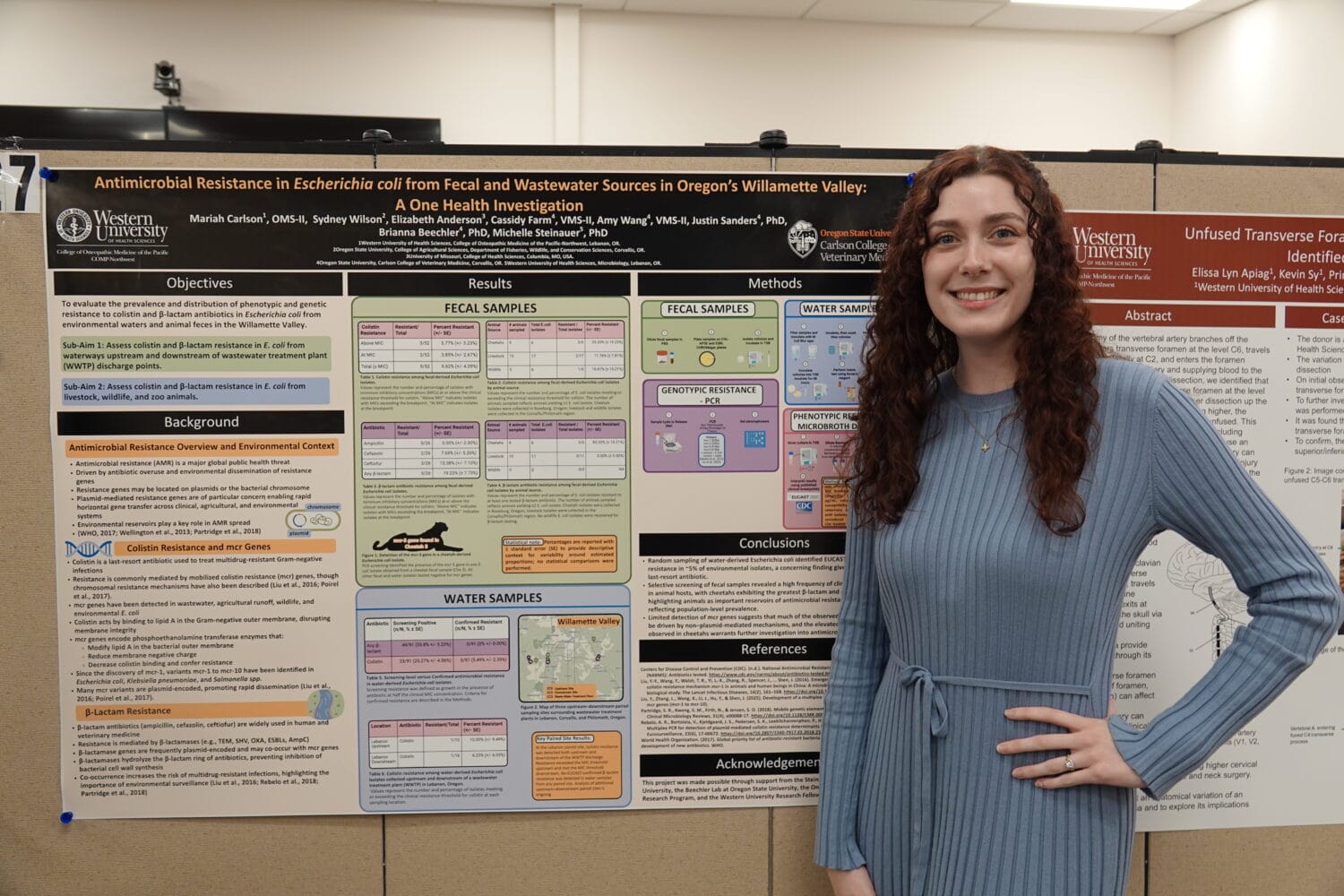 A woman stands beside a scientific research poster titled "Antimicrobial Resistance in Escherichia coli from Fecal and Wastewater Sources in Oregon's Willamette Valley" at Western University.