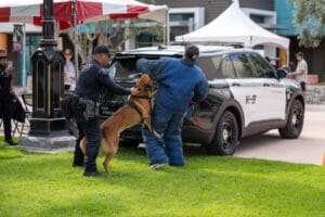 A police dog bites a person in a padded suit during a K-9 demonstration, with a police officer and patrol vehicle nearby.