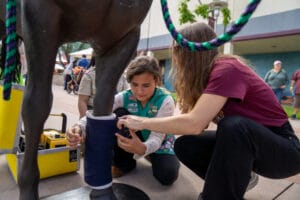 Two girls kneel next to a horse statue, applying a blue cast to its leg as part of an outdoor educational activity.