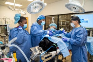 Four veterinary professionals perform surgery on an anesthetized black dog in an operating room with medical equipment and monitors.