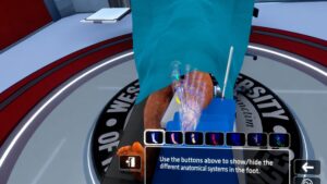 A 3D anatomy simulation showing a human foot, with a menu of icons below to toggle the visibility of different anatomical systems.